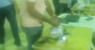 فحص الحمام الزاجل المشارك فى سباق الاتحاد المصرى.. فيديو