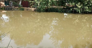 مصرع طفل ونجاة والده عقب سقوط سيارة كارو فى ترعة بالمنوفية.. فيديو