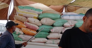 توريد 223 ألف طن و731 كيلو قمح من المزارعين فى كفر الشيخ.. صور