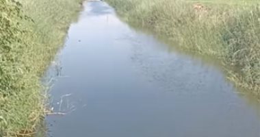 ماتت صائمة.. هند شهيدة الشهامة ببنى سويف حاولت إنقاذ طفل فغرقت معه (فيديو)
