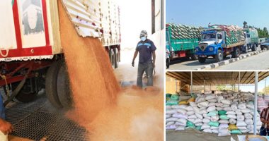 استمرار فتح باب توريد القمح المحلى من المزارعين حتى نهاية أغسطس المقبل.. استهلاك 750 ألف طن شهريا لإنتاج العيش المدعم بسعر 5 قروش.. والمخزون يتجاوز 6 أشهر.. وتواصل صرف السلع على البطاقات ضمن فارق نقاط الخبز