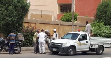 شركة الغاز فى قنا تشكو من "حمار".. ومركز نجع حمادى يحذر صاحبه.. صور