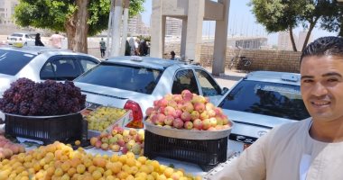 المشمش والعنب بـ15 جنيها للكيلو.. اعرف سعر الفاكهة فى المنيا.. فيديو
