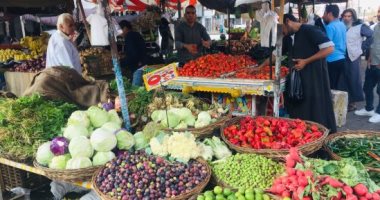 أسعار الخضراوات فى الأسواق.. الطماطم من 3 إلى 6 جنيهات