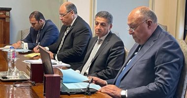 سامح شكرى يبحث مع وزيرة خارجية تنزانيا التعاون الثنائى بين البلدين