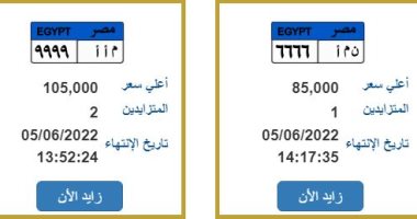 لوحات معدنية مميزة.. شاهد أرقام سيارات يصل ثمنها إلى نصف مليون جنيه (صور)
