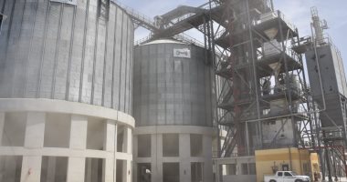محافظ مطروح يعلن توريد 23 ألفًا و600 طن قمح لصومعة الشمامة
