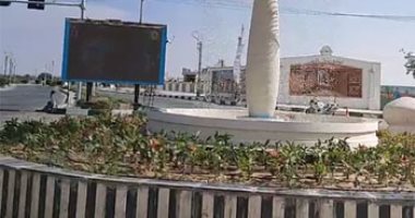 "الوادى الجديد" تمنع التوكتوك وتؤكد استبداله بالسيارات الكهربائية.. فيديو