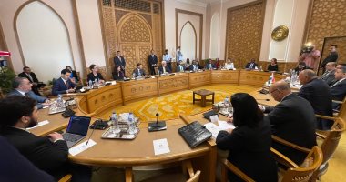 سامح شكرى يؤكد سعي الدولة المصرية الجاد لمواكبة التطورات العالمية المتلاحقة