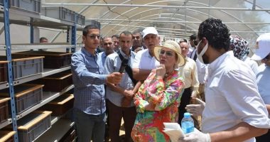 وزيرة البيئة تتفقد عددًا من المشروعات البيئية بمحافظة الوادي الجديد