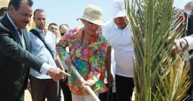 وزيرة البيئة تزرع نخلة بحديقة 30 يونيو فى الخارجة.. صور