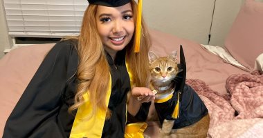 ضيفة فخرية بعد حضورها جميع المحاضرات.. قطة تشارك فى حفل تخرج بجامعة تكساس