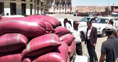 محافظ سوهاج يعلن توريد أكثر من 85 ألف طن أقماح من المزارعين .. صور 