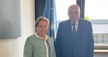 وزير الخارجية يجرى مباحثات فى ألمانيا حول موضوعات تغير المناخ
