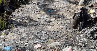 شكوى من انسداد ترعة بعزبة سليمان شلبى بالبحيرة.. والمحافظة ترد