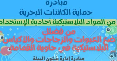 حى العجمى بالإسكندرية يطلق مبادرة "احم الكائنات البحرية"