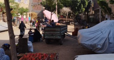 الطماطم بـ8 جنيهات والبصل بـ3.. بث مباشر من سوق الخضروات بالمنيا