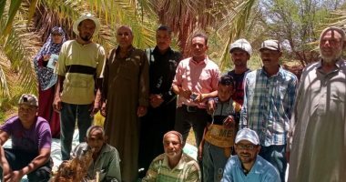 زراعة الوادى الجديد: تنفيذ مدرسة حقلية للنخيل بقرى الجديدة والراشدة بالداخلة.. صور