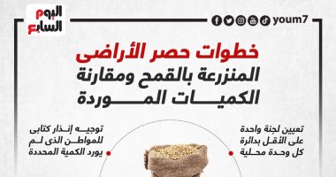 خطوات حصر الأراضى المنزرعة بالقمح ومقارنتها بالكميات الموردة.. إنفوجراف