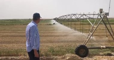 12 معلومة حول أضخم مشروع زراعى لقطاع الأعمال فى توشكى