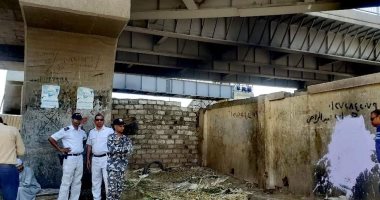 مدينة الأقصر تتحفظ على 3 خيول لتسببها فى روائح كريهة بمنطقة أبو الجود.. صور