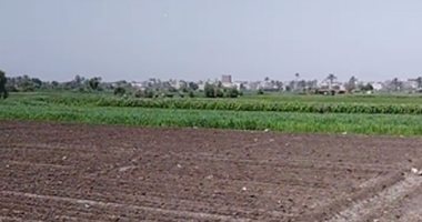 الجو حر نار والرطوبة عالية.. طقس المنيا الآن.. بث مباشر