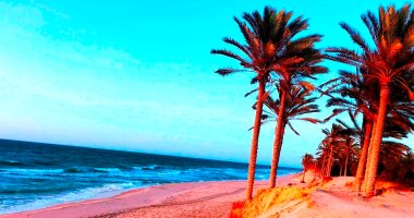 سحر الطبيعة فى سيناء.. الرمال تعانق الخضرة والبحر 