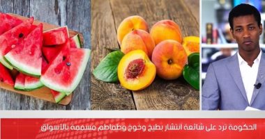 التفاصيل الكاملة لرد الحكومة على شائعة تسمم الخوخ والبطيخ.. فيديو