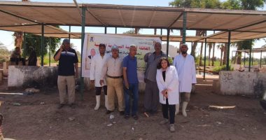 "بيطري الوادي الجديد" تنفذ قوافل علاجية مجانية للمناطق النائية بمركز الخارجة.. صور