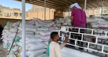 تموين الغربية تضبط ملحا مجهول المصدر وعدسات لاصقة بالمحلة