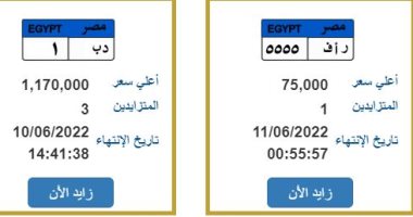 لوحات معدنية مميزة.. شاهد أرقام سيارات بالمزاد الإلكترونى وأسعارها.. صور