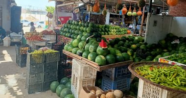 أسواق المنوفية..الفراخ البيضاء بـ43 جنيها والسمك البلطى 35 والطماطم 5 (فيديو)