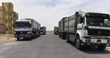 محافظ مطروح: تحقيق المستهدف من توريد القمح بالمحافظة بنسبة 100%