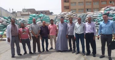 محافظ سوهاج: توريد أكثر من 94 ألف طن أقماح حتى الآن.. صور
