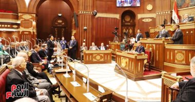 توصيات برلمانية بشأن الاهتمام بالصحة النفسية لطلاب المدارس.. اعرف التفاصيل