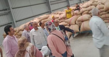 محافظ الإسماعيلية: توريد 57.71% من المستهدف من محصول القمح حتى الآن