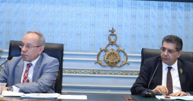 "صحة الشيوخ": زراعة القوقعة قبل سن المدرسة يجعل الطفل قادرا على السمع والكلام