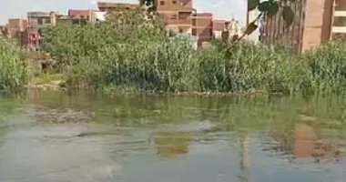 بعد دفن أخيه.. استمرار البحث عن أحد الشقيقين الغارقين ببحر شبين بالمنوفية "لايف"