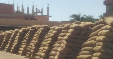 محافظ بنى سويف يتابع توريد القمح للصوامع.. ويعقد لقاءً لبحث شكاوى المواطنين