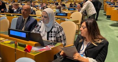 المجلس القومى للإعاقة: كلمة مصر استعرضت جهود الدولة فى تمكين ذوى الإعاقة
