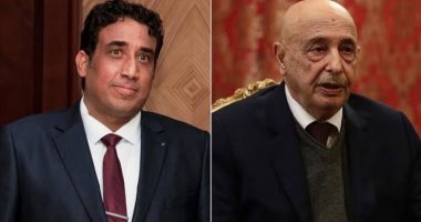 وكالة الأنباء الليبية: المنفى وعقيلة يبحثان فى القاهرة سبل الخروج من الانسداد السياسى فى ليبيا 