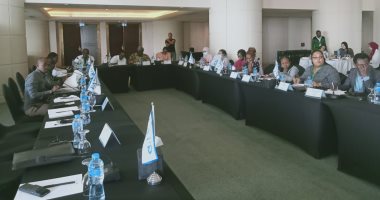 "دور الوحدات المحلية فى تنفيذ رؤية مصر 2030".. ختام تدريب الكوادر الأفريقية