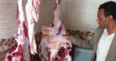 الطب البيطرى يضبط لحوم ودواجن وأسماك فاسدة فى أسوان