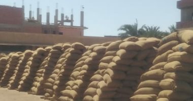 استلام 226 ألف طن قمح بصوامع وشون بنى سويف