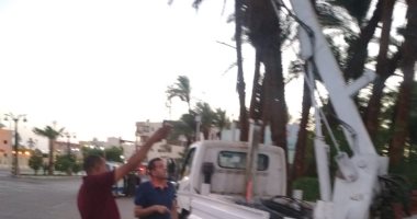 مدينة الأقصر تجرى صيانة الإنارة بحديقة الكومنولث بتركيب 20 كشاف ليد.. صور