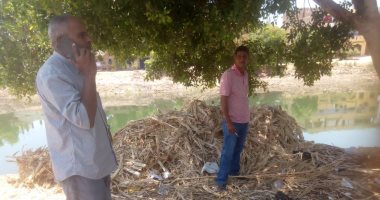 تحرير محاضر نظافة ومخالفة بيئية لأصحاب الخيول فى حملة بمدينة الأقصر.. صور