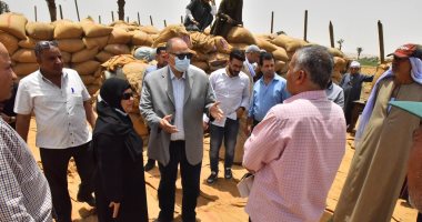 توريد 165 ألف طن من القمح المحلى لأكثر من 30 مركز تجميع وصومعة بأسيوط.. صور