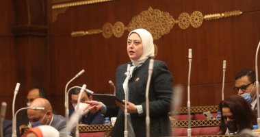 "طاقة الشيوخ" توافق على مقترح نائبة التنسيقية بإنشاء مرصد التكيف والمرونة الأفريقى