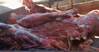 ضبط 34 طن لحوم وجبن غير صالحة واحتكار 25 طن حبوب متنوعة بثلاجة بفوه