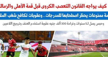 كيفية تصدى المشرع لشغب الجماهير داخل الملاعب وعبر فيس بوك.. نقلا عن "برلماني"